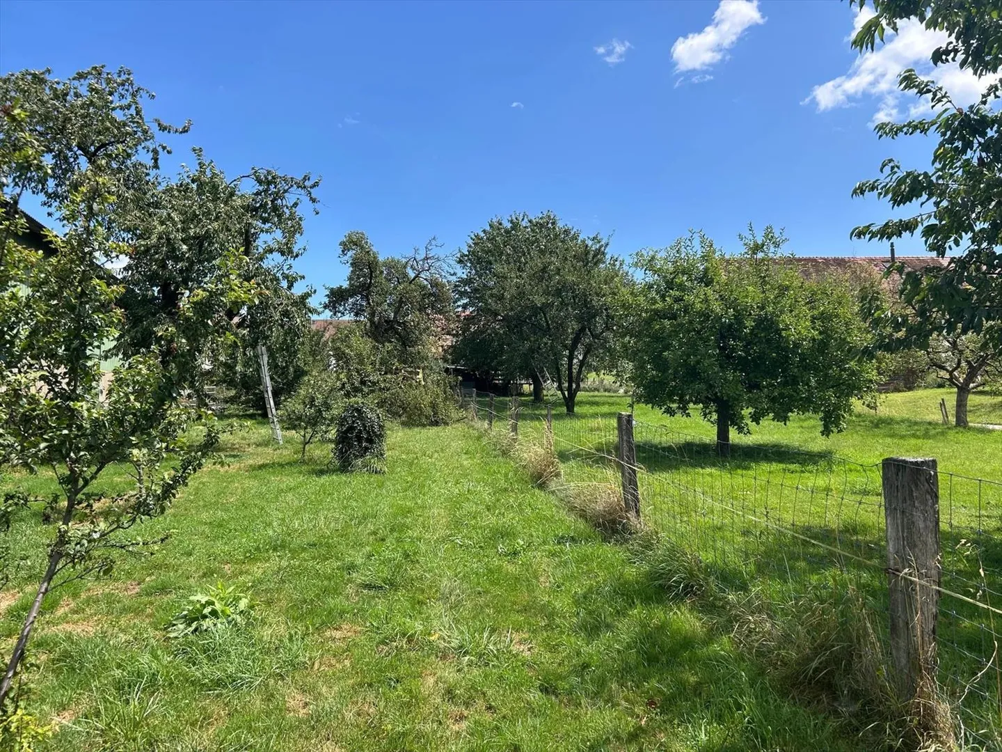 Charming house located just 5 minutes from Yverdon - Photo 3 of 8