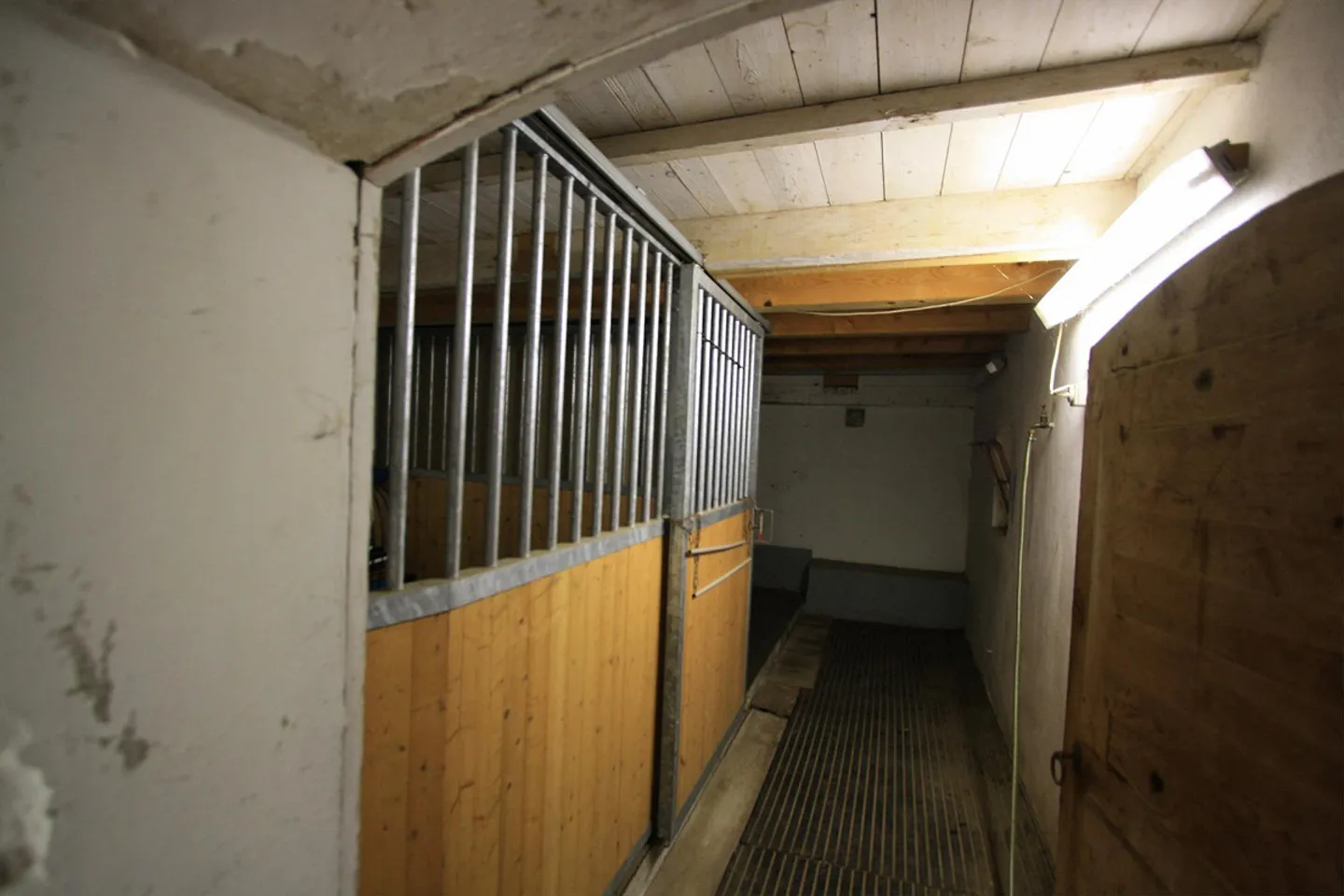 Una casa per persone e animali sotto 1 milione! - Foto 12 di 14