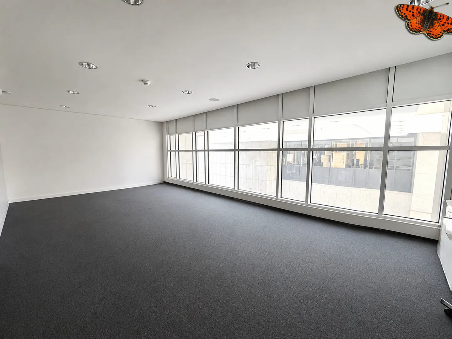 Bureau moderne à Fribourg - Photo 3 sur 5