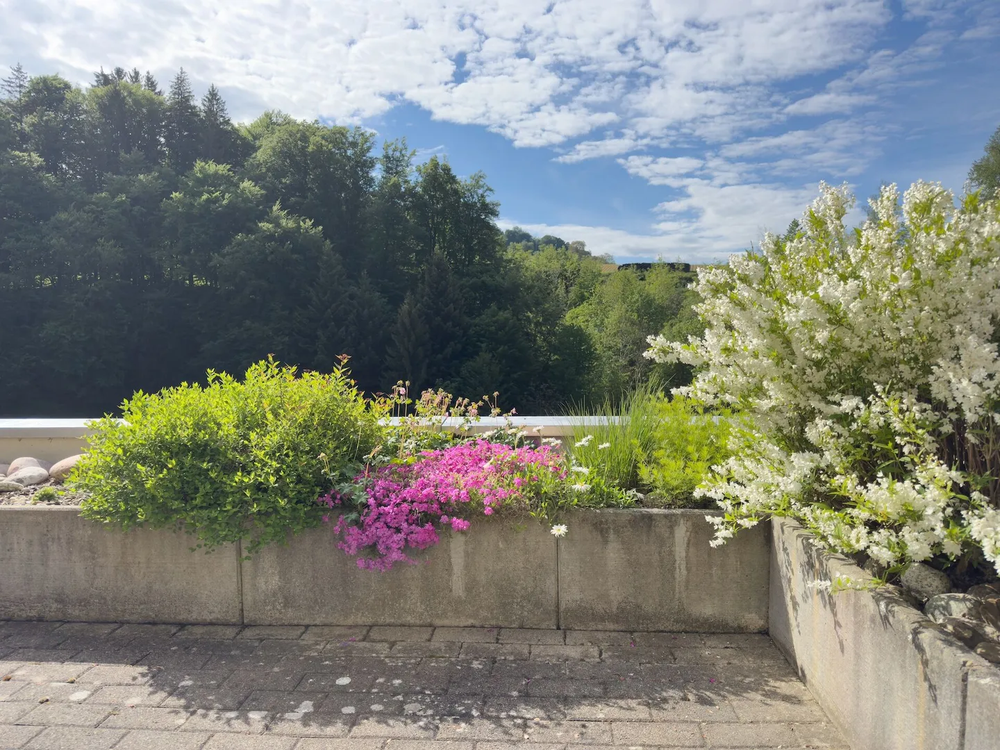 Geräumiges Terrassenhaus mit Aussicht - Foto 15 von 21