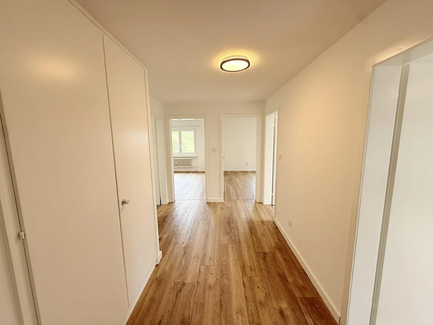 Appartamento 4.5 stanze appena ristrutturato con una vista splendida - Foto 5 di 8