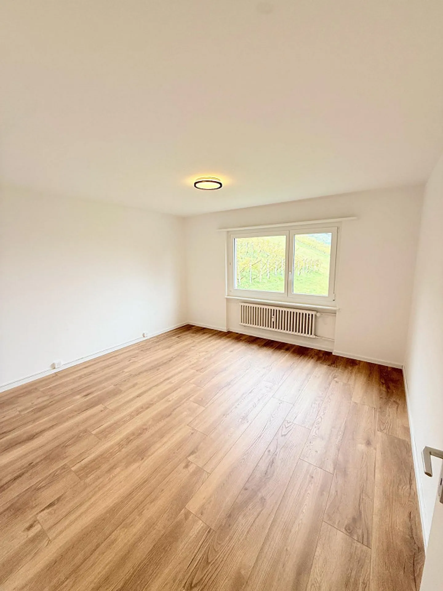 Appartamento 4.5 stanze appena ristrutturato con una vista splendida - Foto 6 di 8