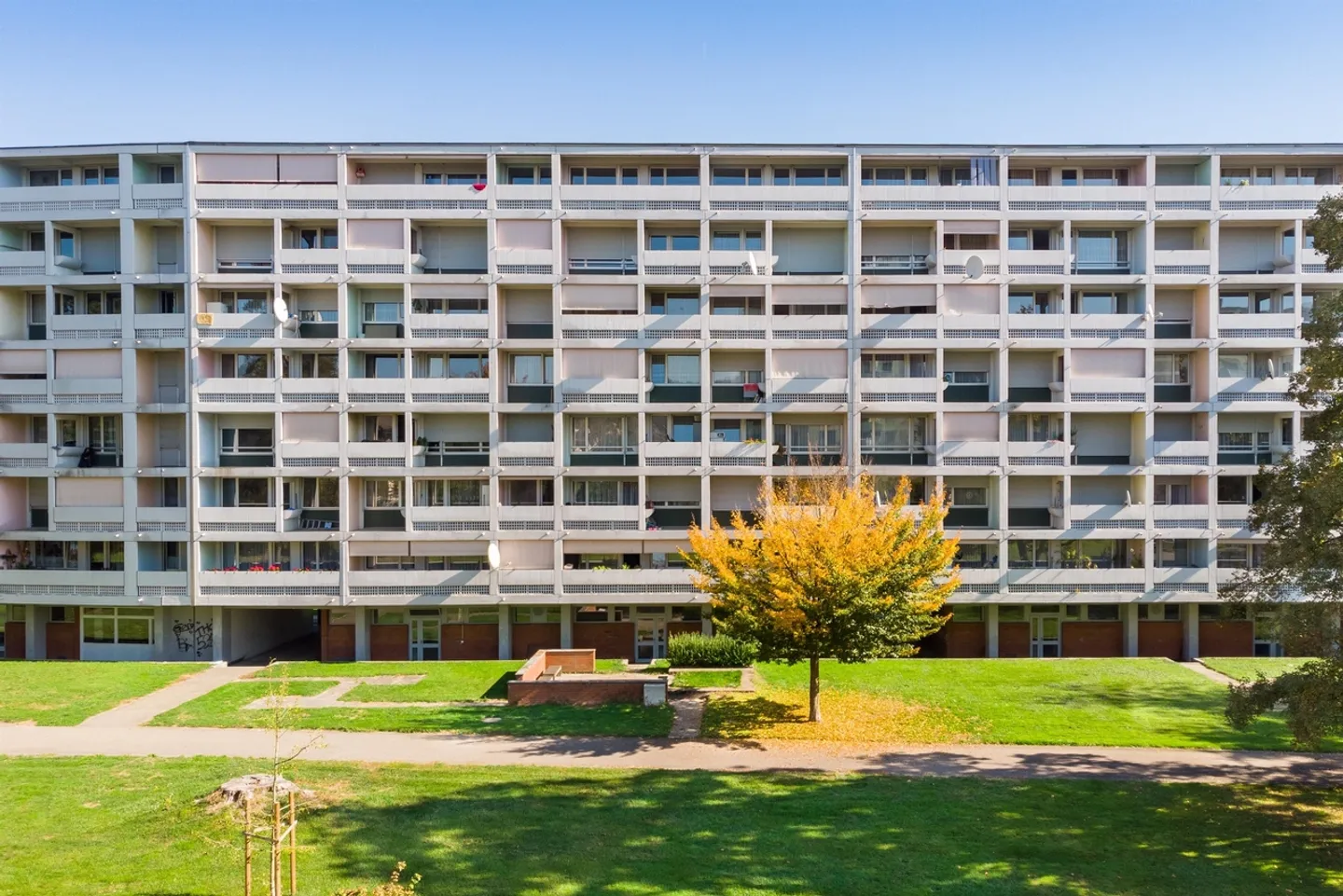 Charmante 1.5-Zimmerwohnung - Foto 1 von 5