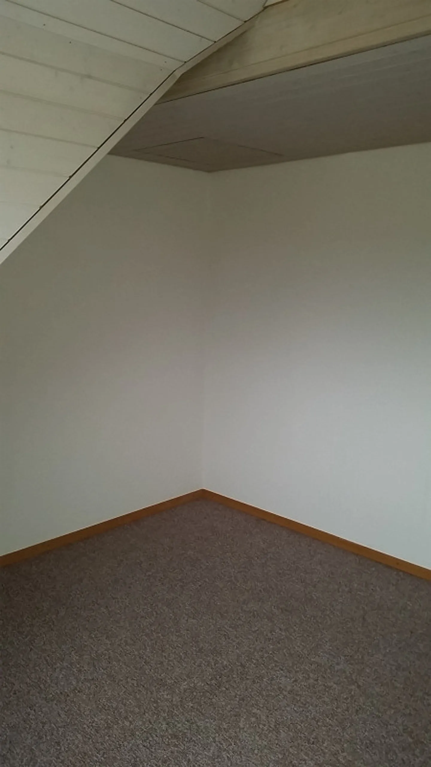 3 1/2 Room Apartment in 8576 Mauren (3GDQ) - Photo 12 of 17