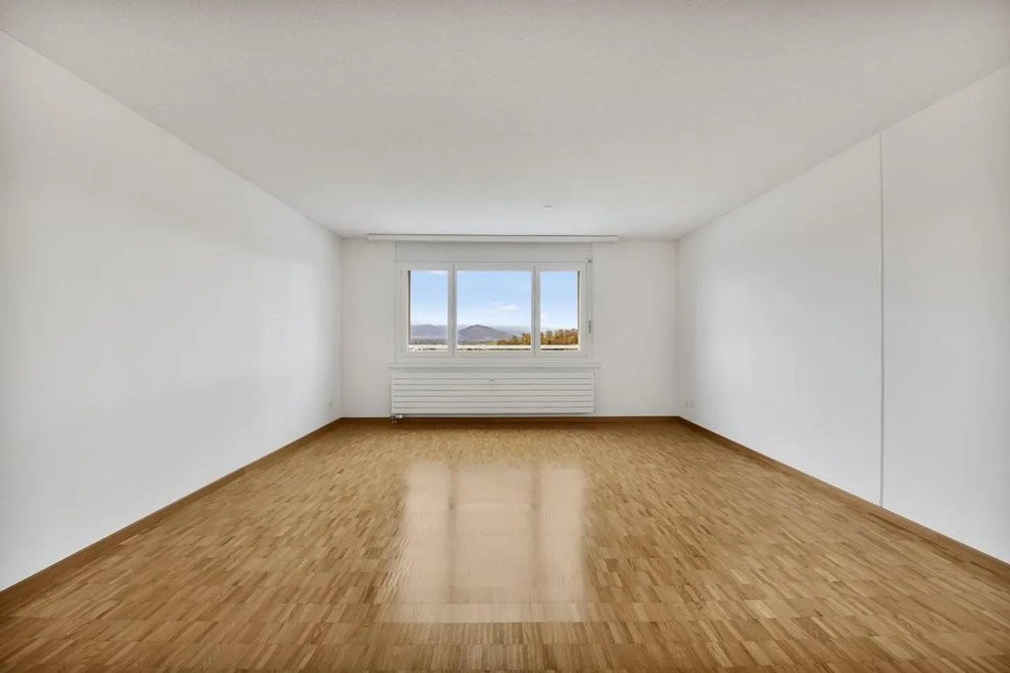 Wohnung für Singles im Herzen von Altstätten - Foto 3 von 7
