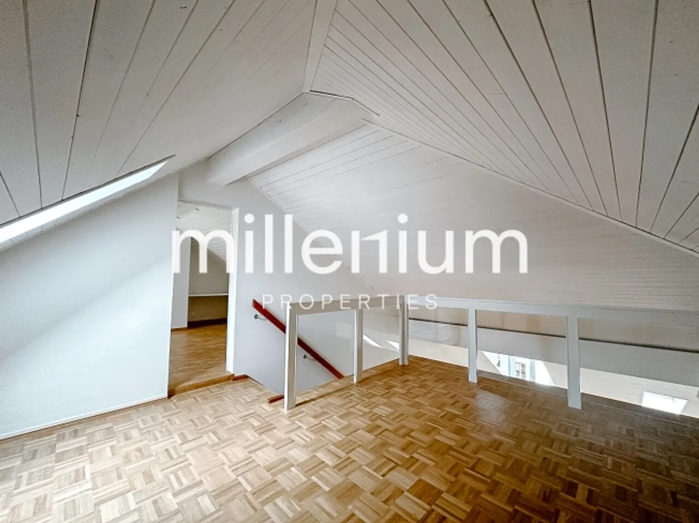 Renovated penthouse duplex in old Carouge - Photo 1 of 10