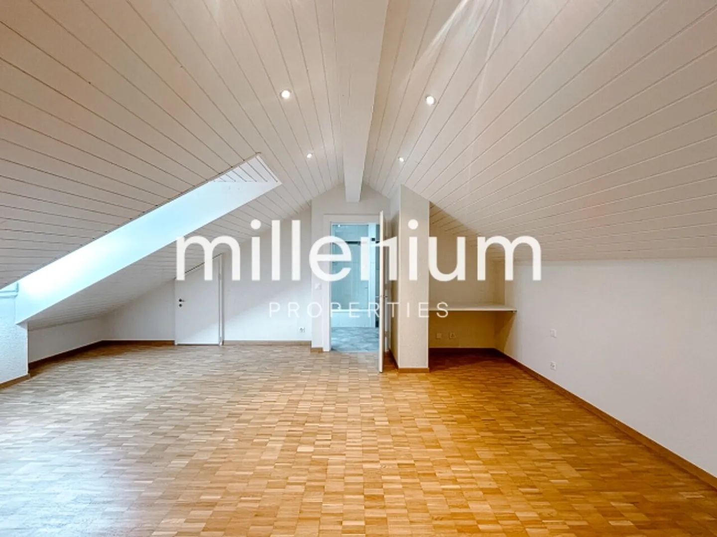 Renovated penthouse duplex in old Carouge - Photo 3 of 10