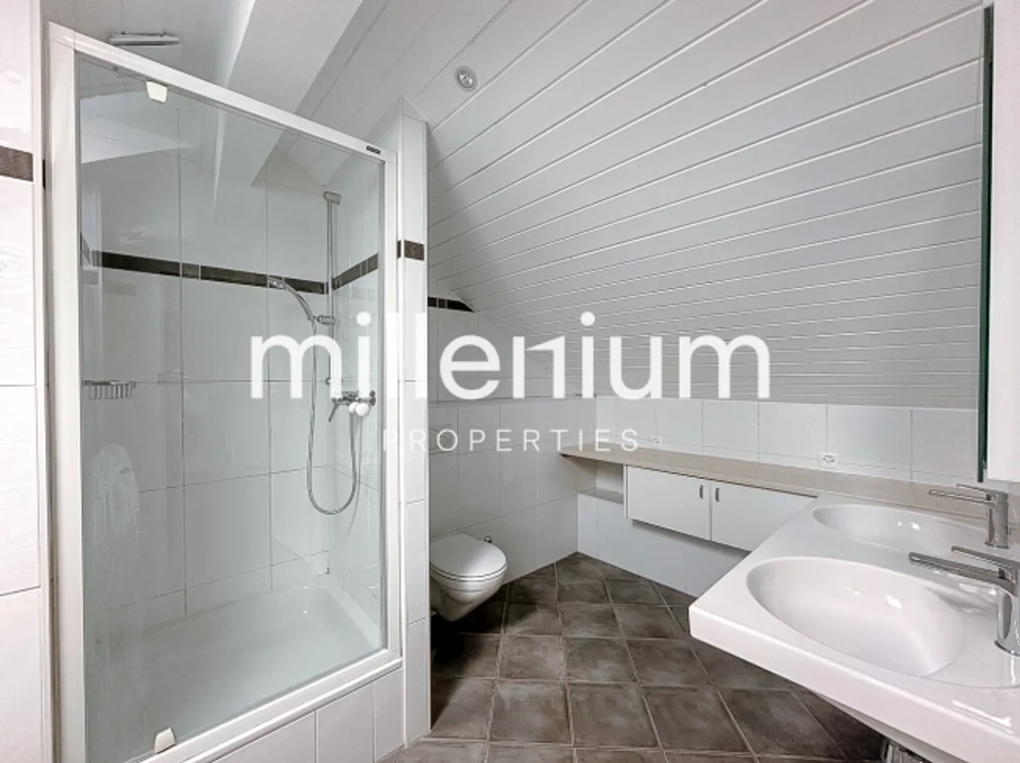 Renovated penthouse duplex in old Carouge - Photo 8 of 10