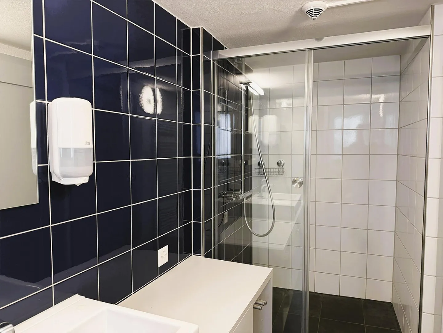 Grosszügiges Haus mit Scheune und Land - Foto 8 von 20