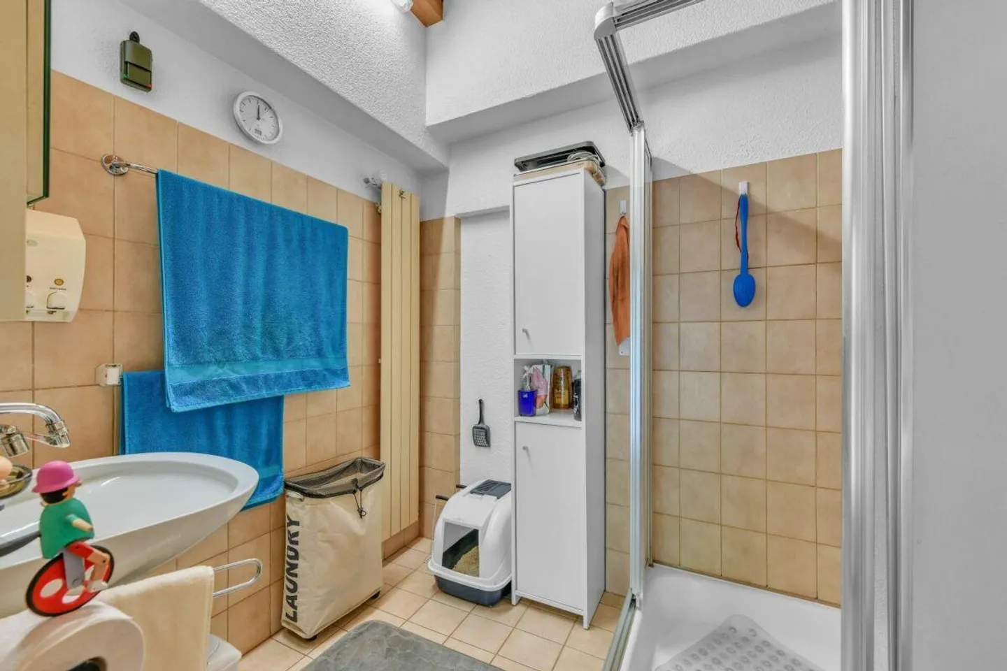 Una casa piena di vita nel cuore della Bündner Herrschaft - Foto 19 di 30