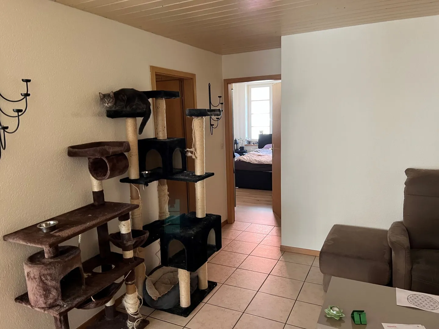 Spacious 2.5 Room with Concierge - Photo 5 of 17
