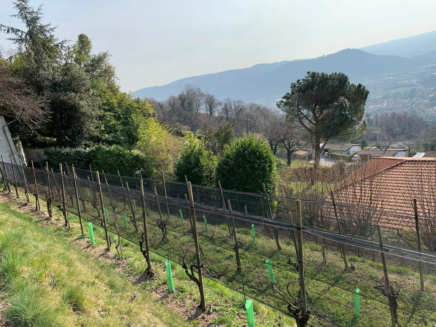 Terreno edificabile soleggiato - Foto 3 di 5