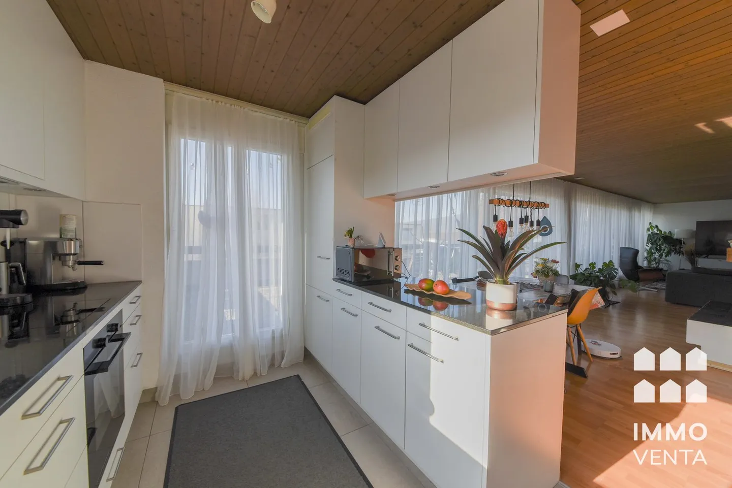 Penthouse apartment with 50m² terrace - Photo 5 of 16