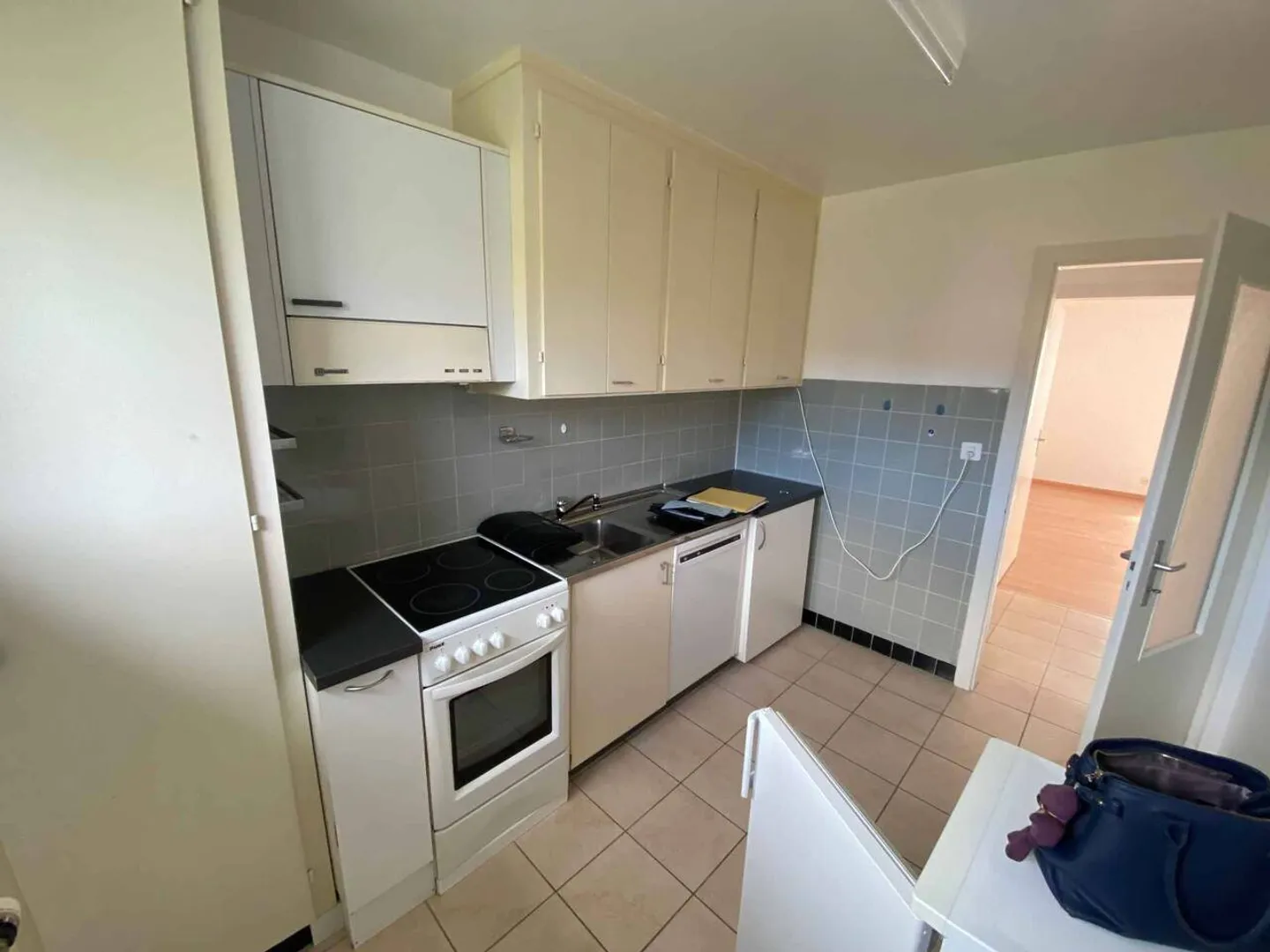 Appartamento 3.5 camere affascinante - Foto 3 di 13