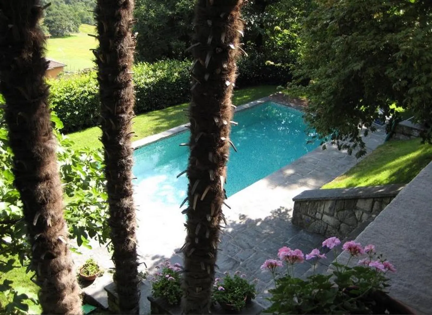 Villa with swimming pool immersed in greenery - Savosa - Photo 2 of 14