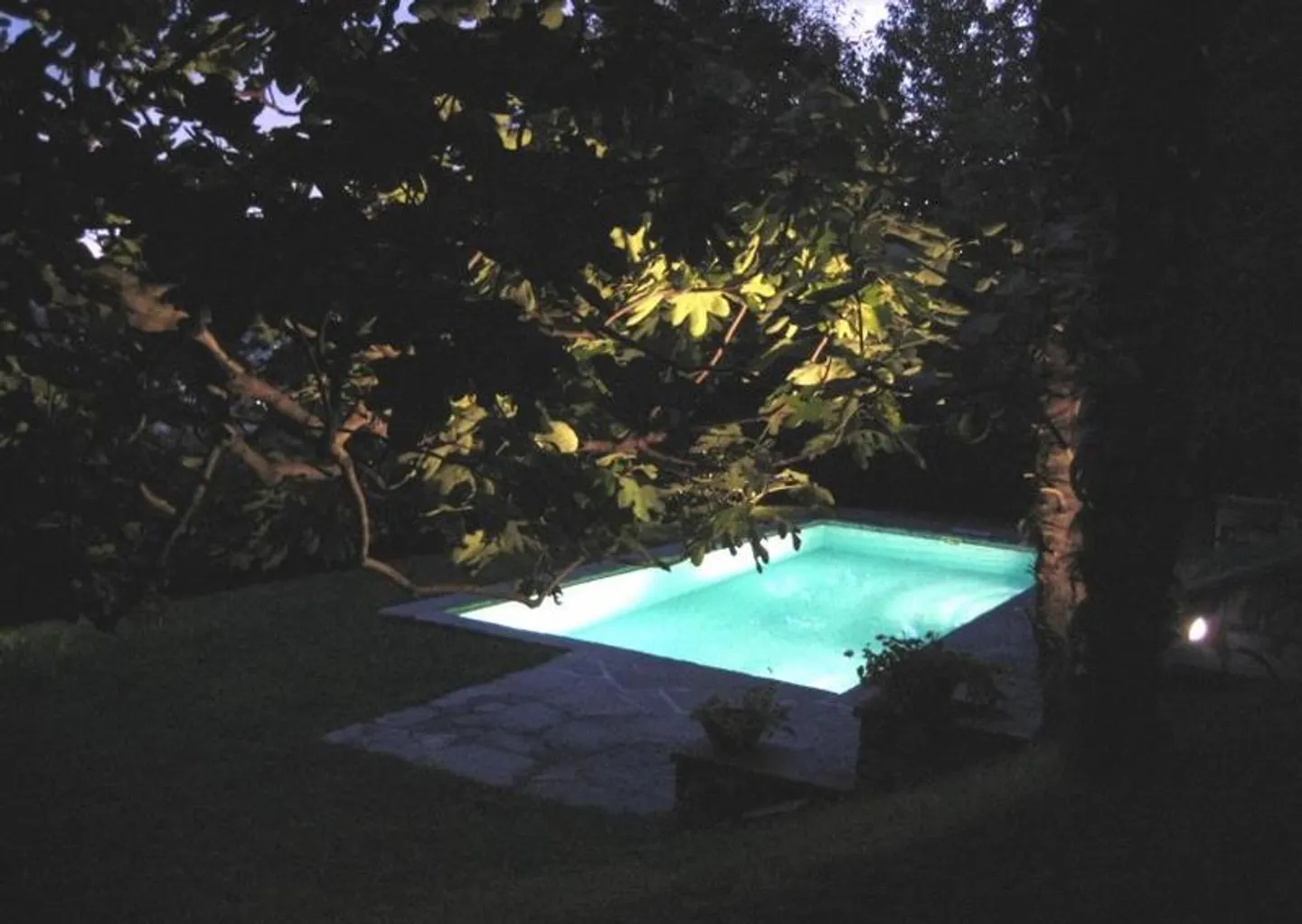 Villa with swimming pool immersed in greenery - Savosa - Photo 3 of 14