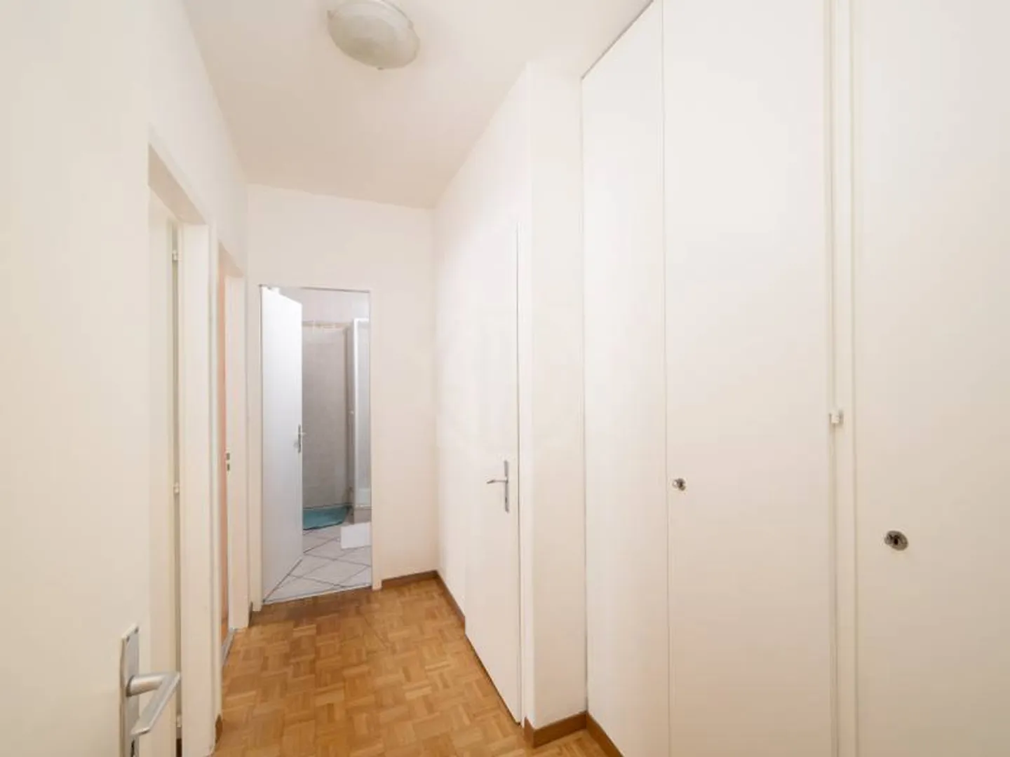 Charming apartment - Geneva - Photo 4 of 6