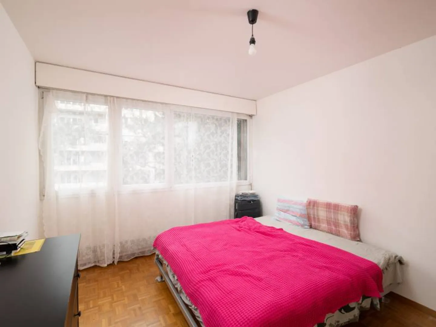 Charming apartment - Geneva - Photo 5 of 6