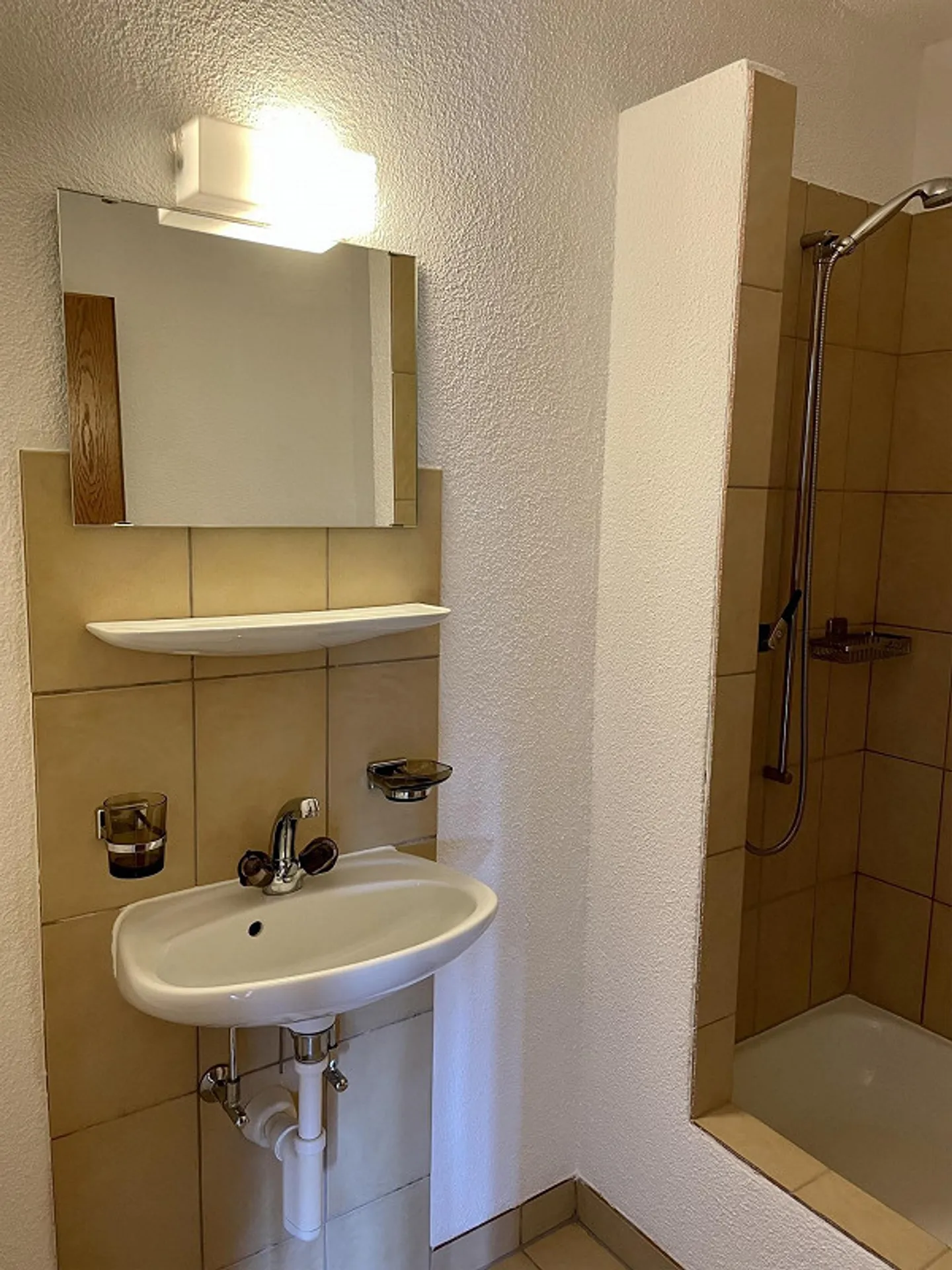 Spacious bright 4.5-room apartment - Photo 6 of 6