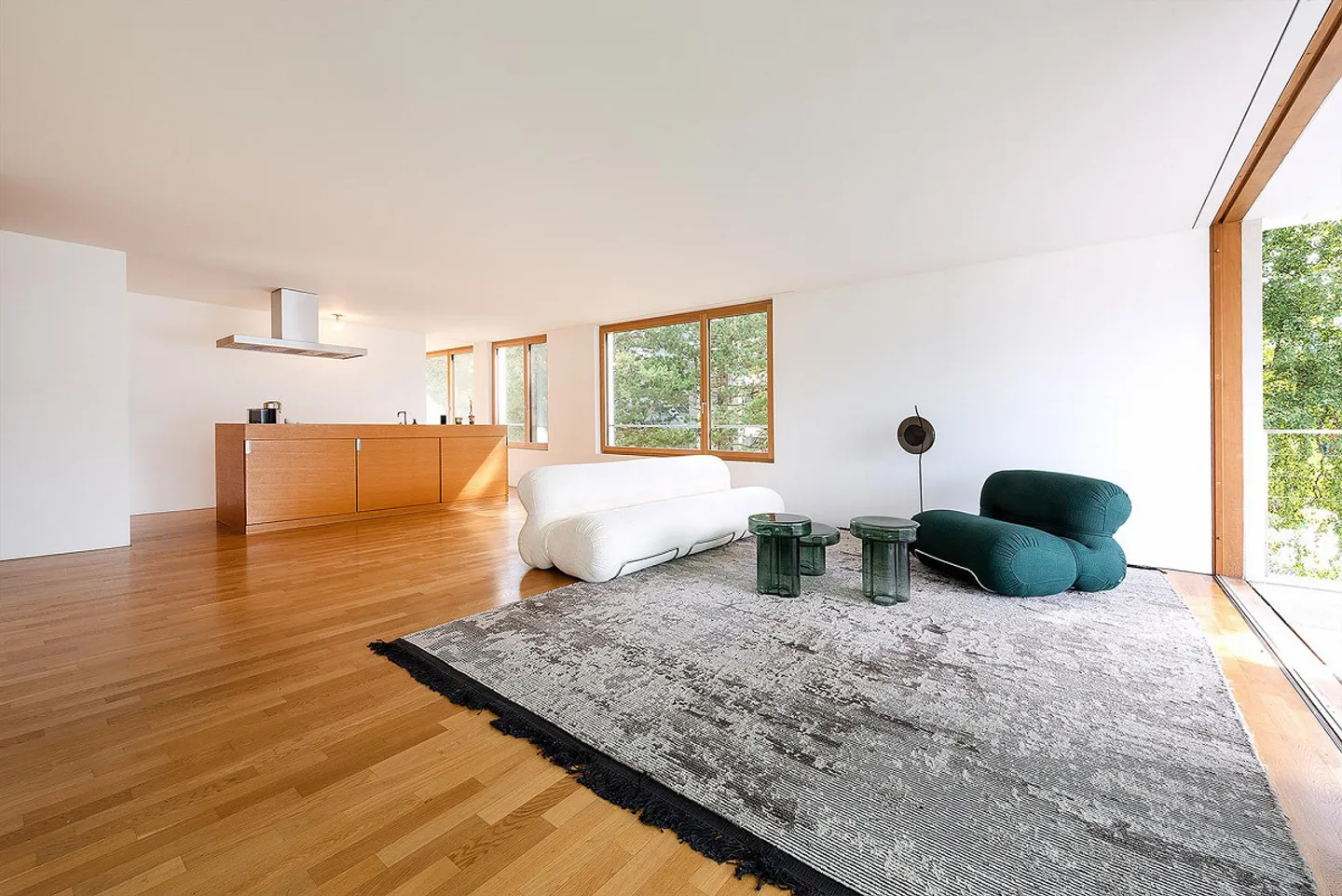 Appartamento 5.5 locali con vista favolosa sul lago/montagna - Foto 3 di 7