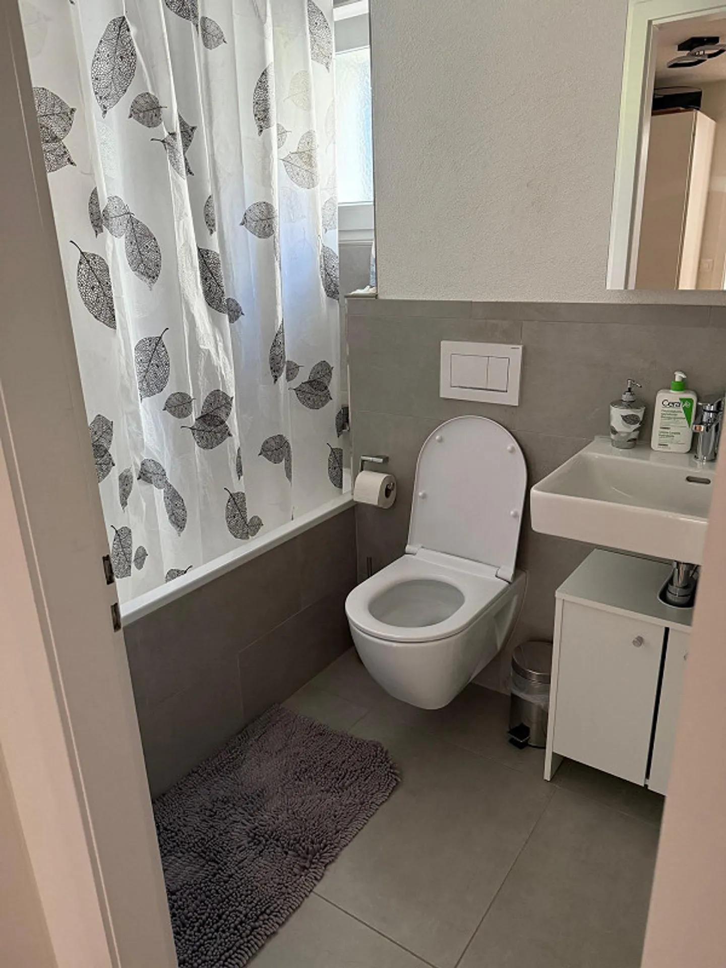 Beautiful and spacious 4-room apartment in Glarus - Photo 7 of 12