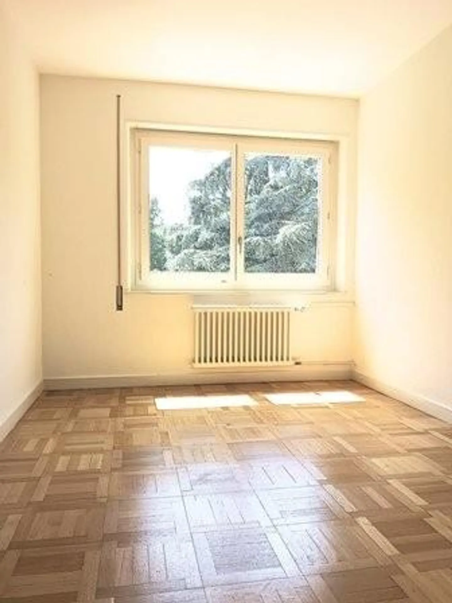 Nice accommodation close to all amenities - Photo 4 of 7