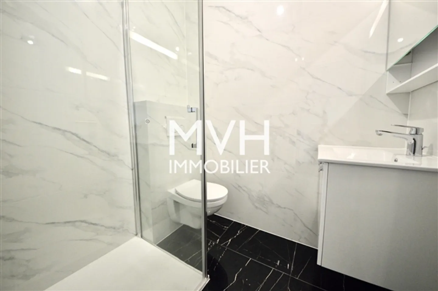 Appartement rénové au 9ème étage avec jet d'eau et vue sur le Mont Blanc - Photo 10 sur 10