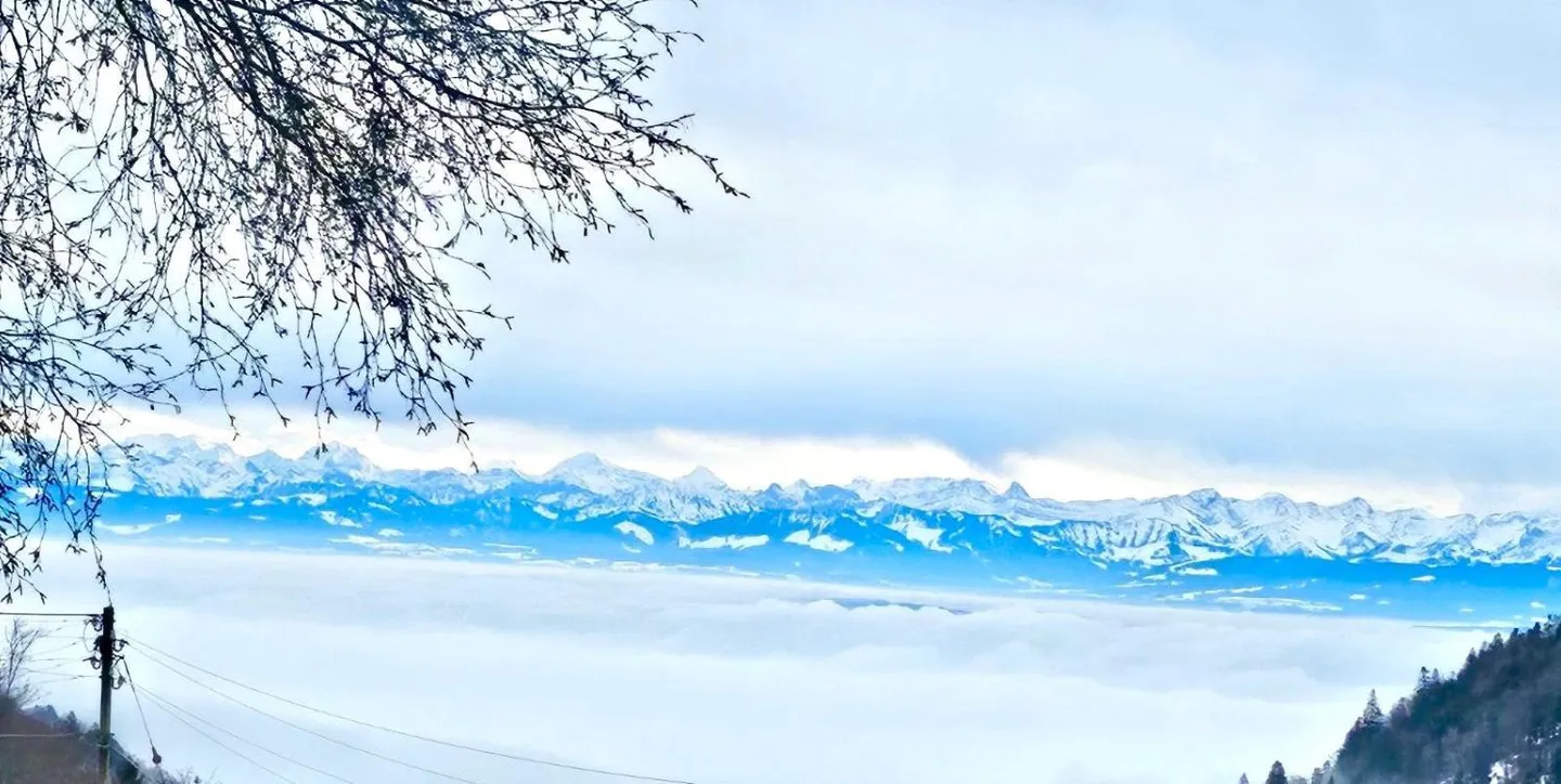 Mixed-use building - Photo 7 of 7