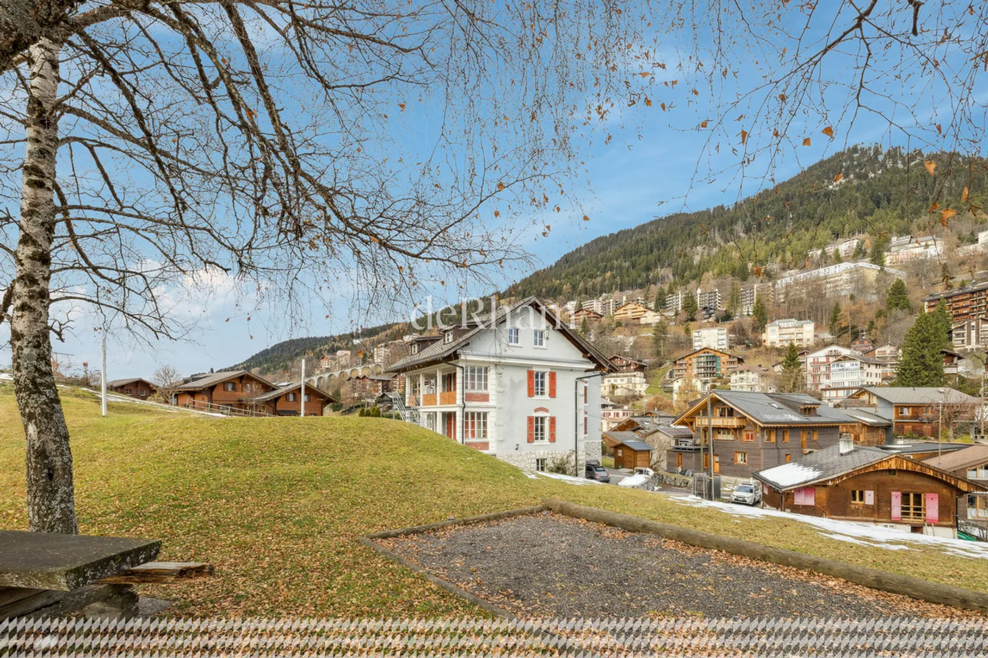 The Castle in Leysin - Photo 11 of 12