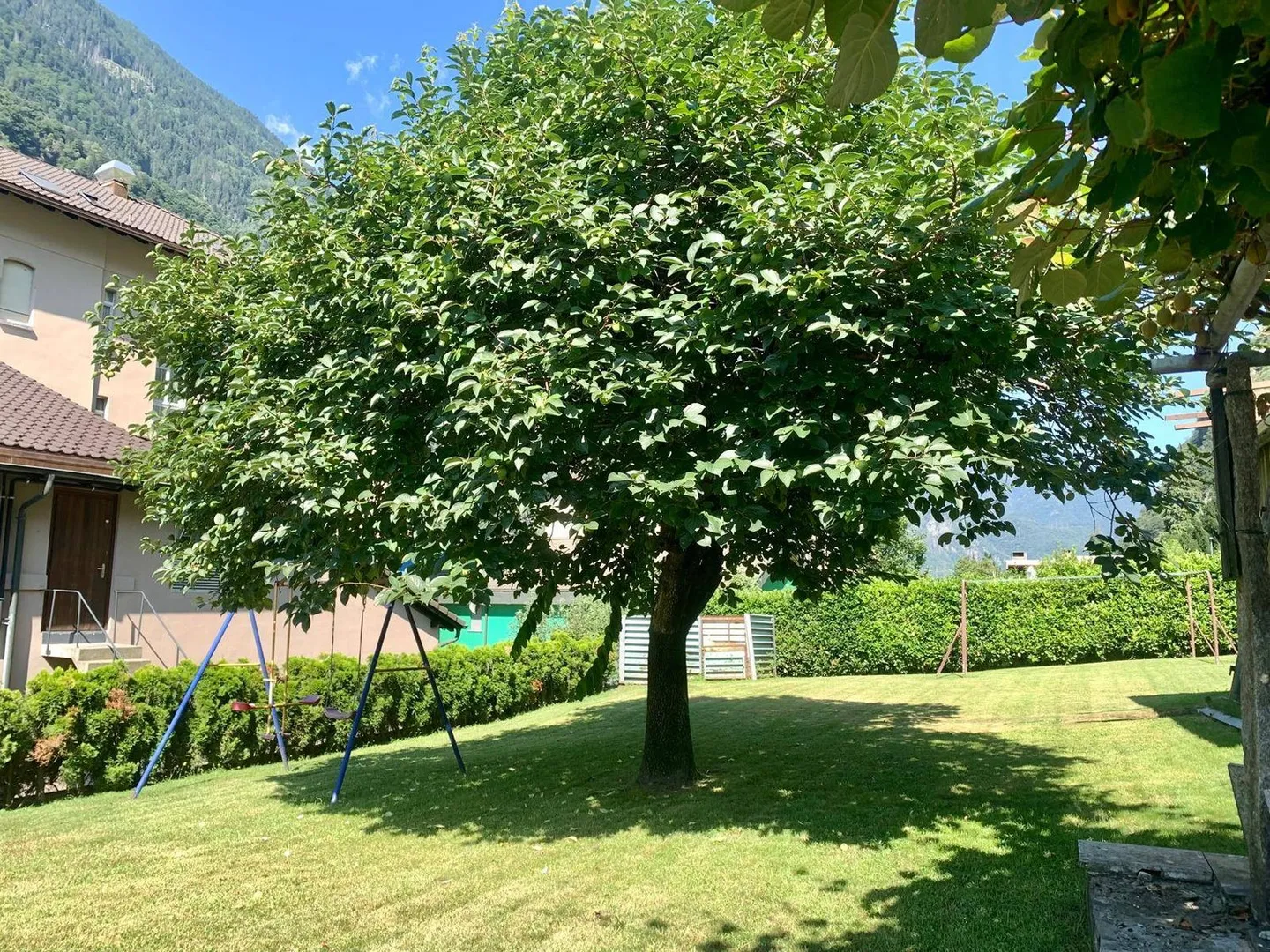 Casa bifamiliare - Bellinzona - Foto 7 di 13