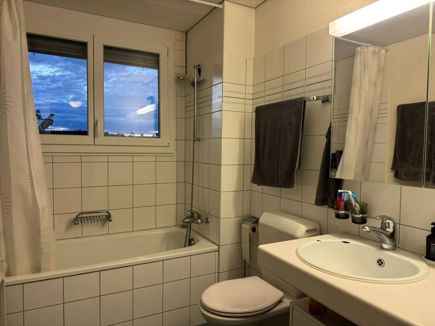 3.5-ROOM APARTMENT WITH GALLERY IN RUBIGEN - Photo 10 of 13