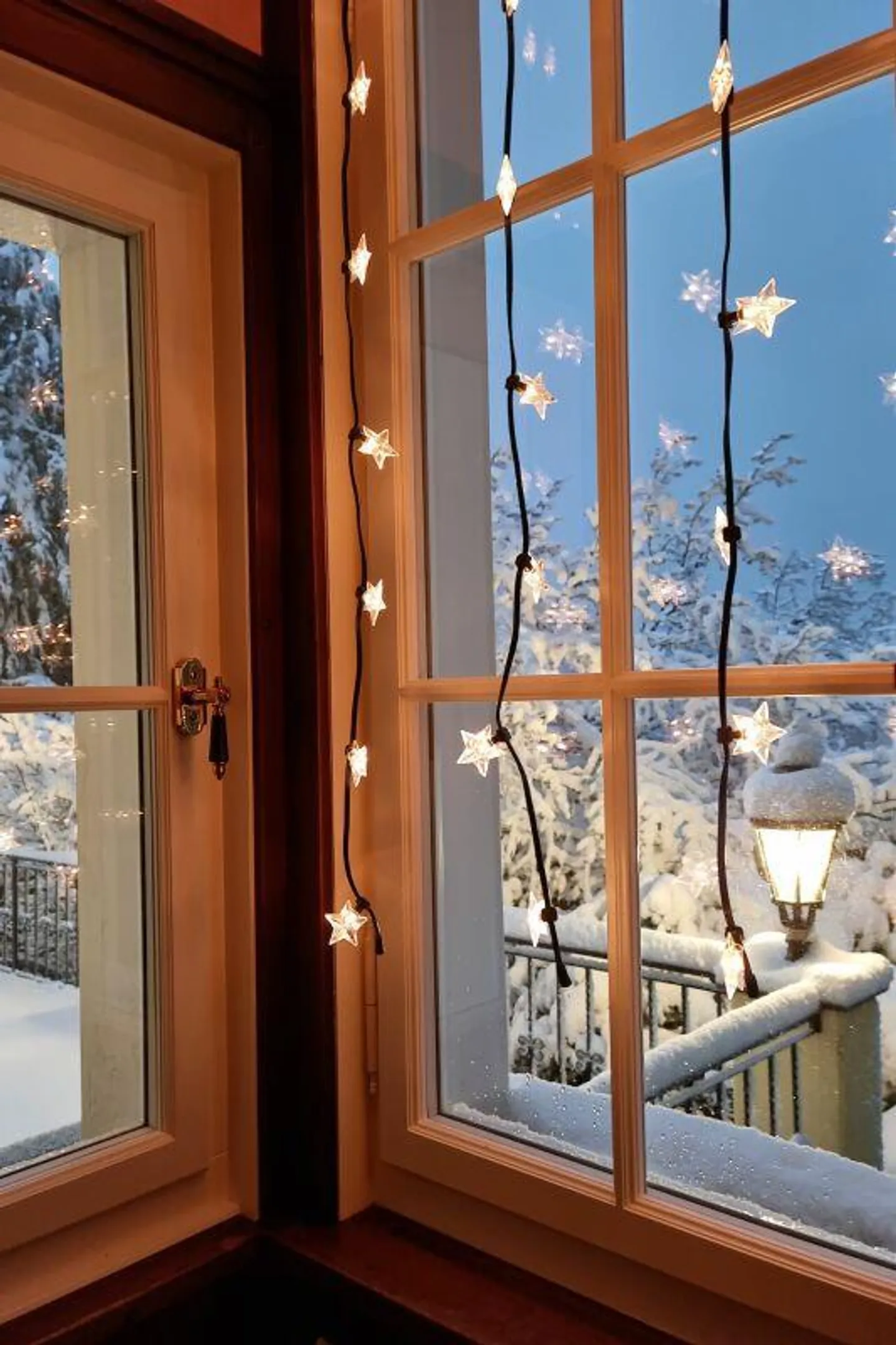 Manor Villa with 2,008 m2 Park-like Property - Photo 3 of 18