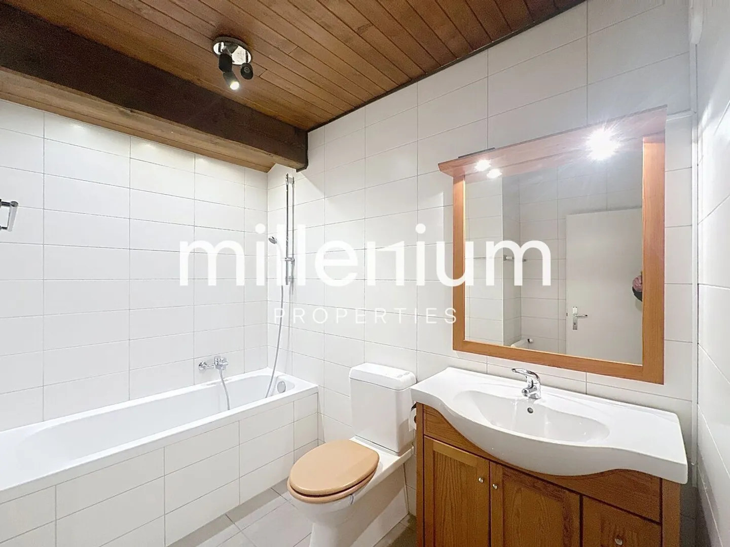 Beautiful Apartment for Rent in Plan-les-Ouates - Photo 8 of 9