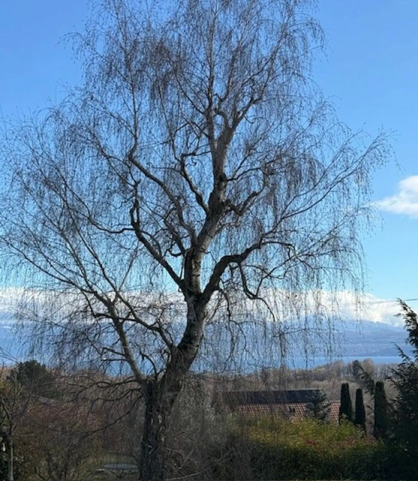 Bella Villa con Giardino Privato - Foto 4 di 8