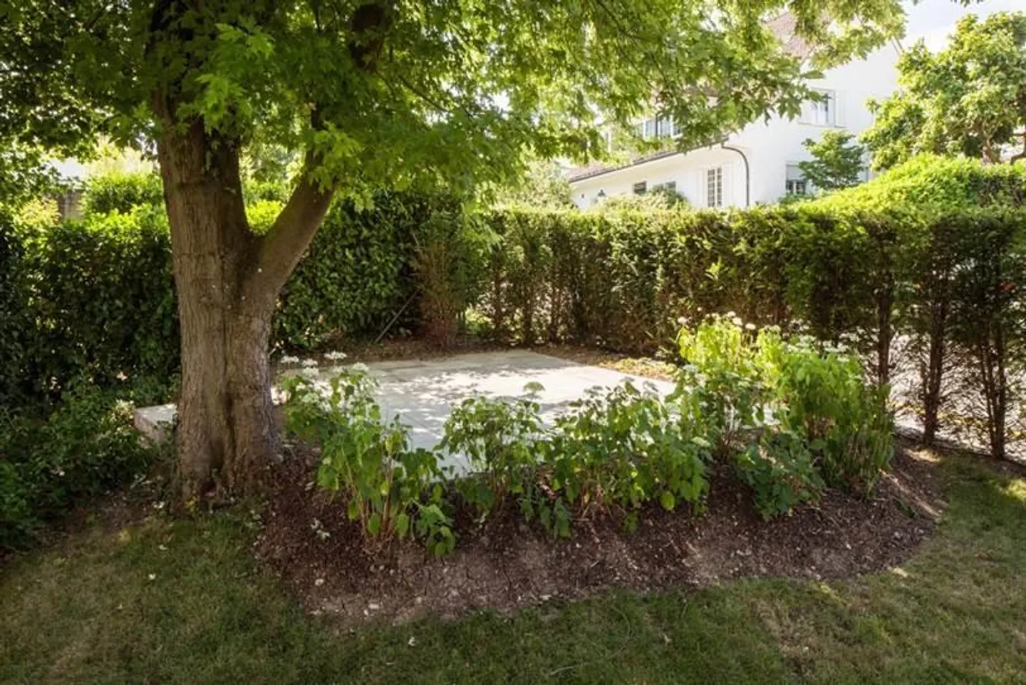 Appartamento giardino duplex di alta qualità con giardino d'inverno - Foto 4 di 12