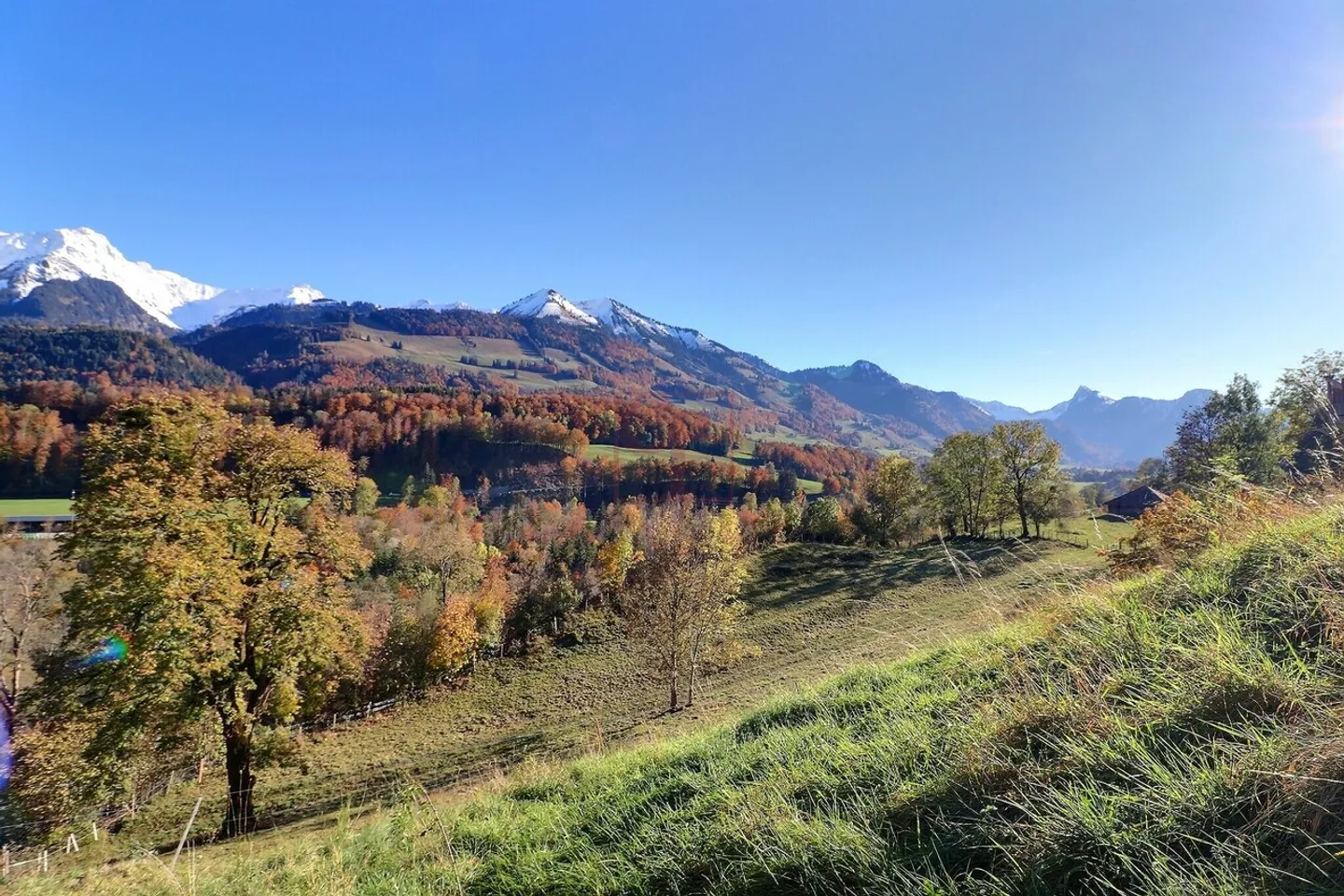 Stunning 7.5 Room Detached House - Large Garden - Photo 7 of 10