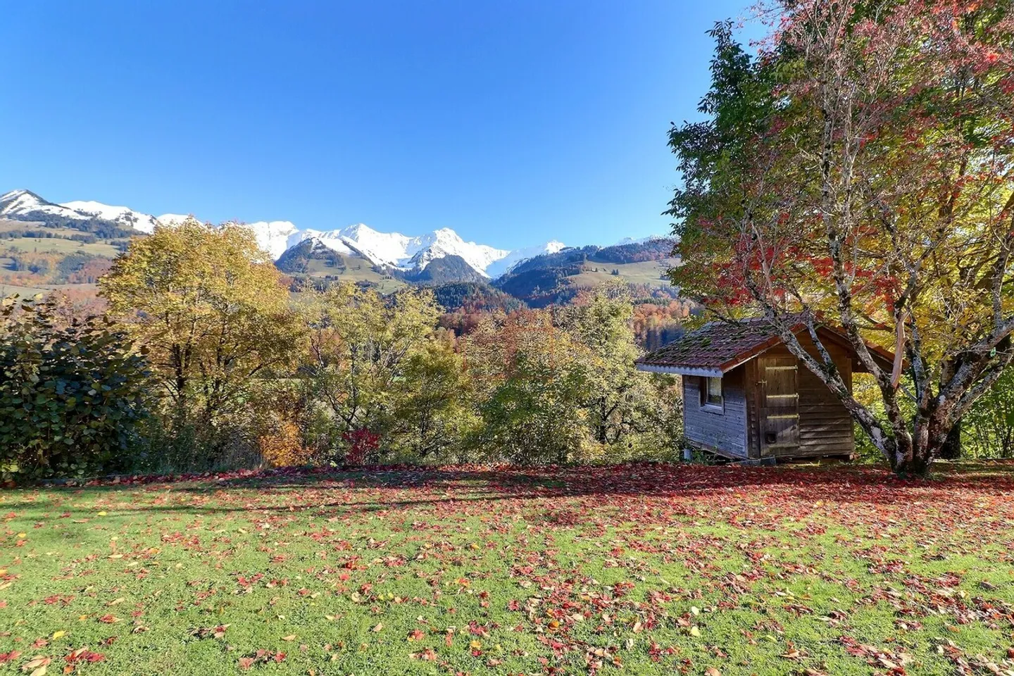 Stunning 7.5 Room Detached House - Large Garden - Photo 10 of 10