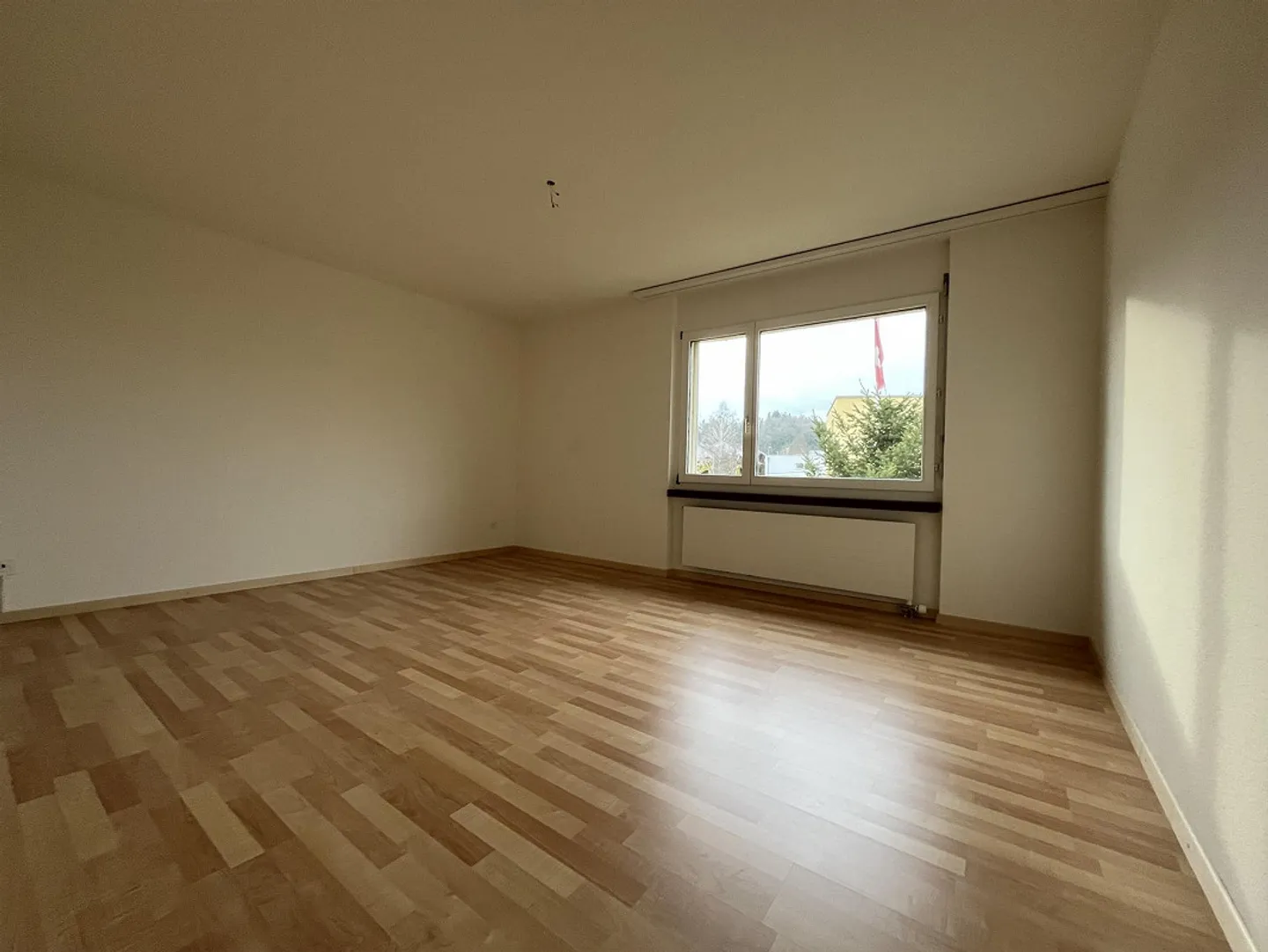 Large Family Apartment in New Shine - Photo 8 of 11