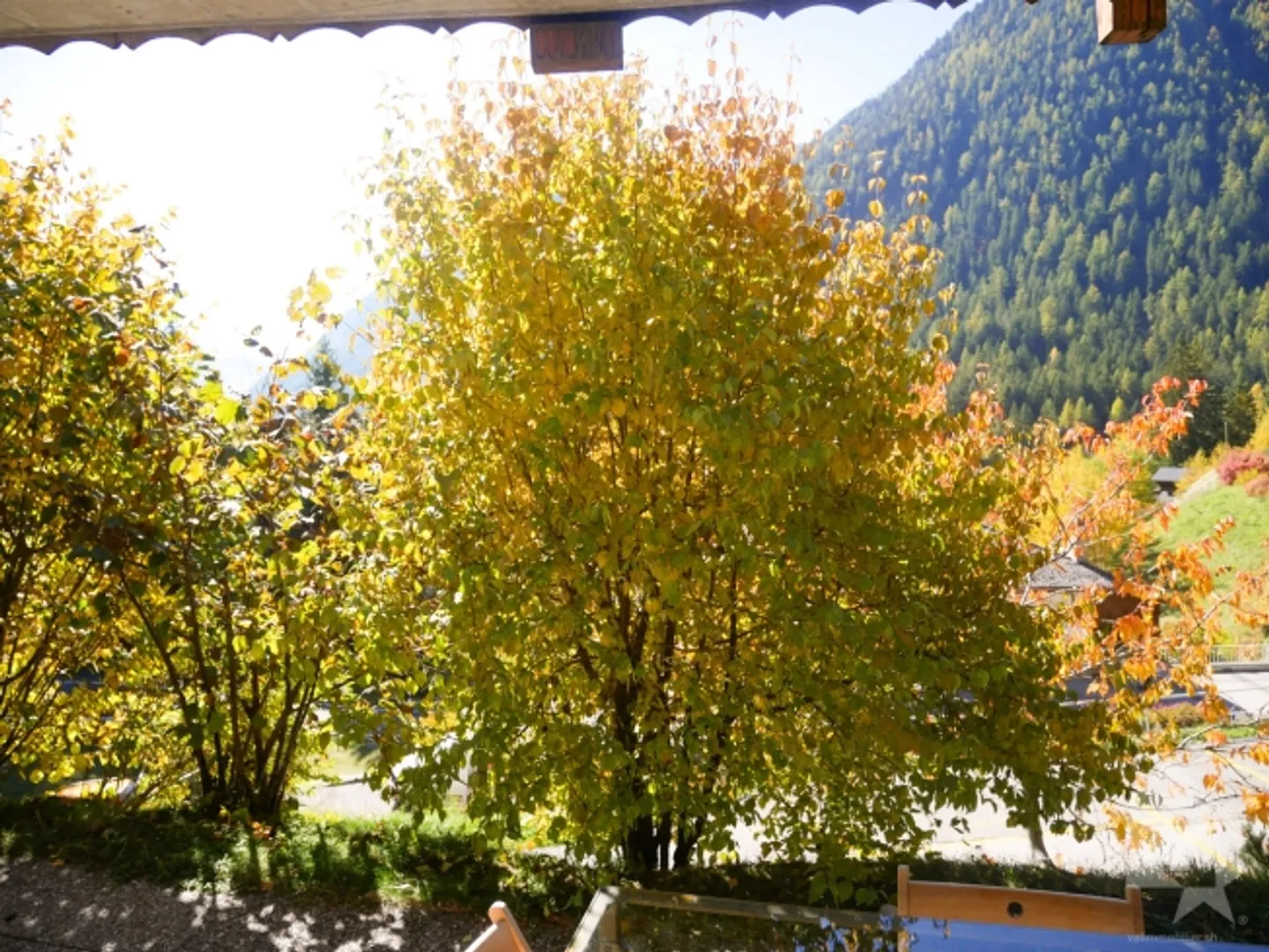 Appartamento piacevole e luminoso di 3,5 stanze con terrazza e vista soleggiata - Foto 13 di 13