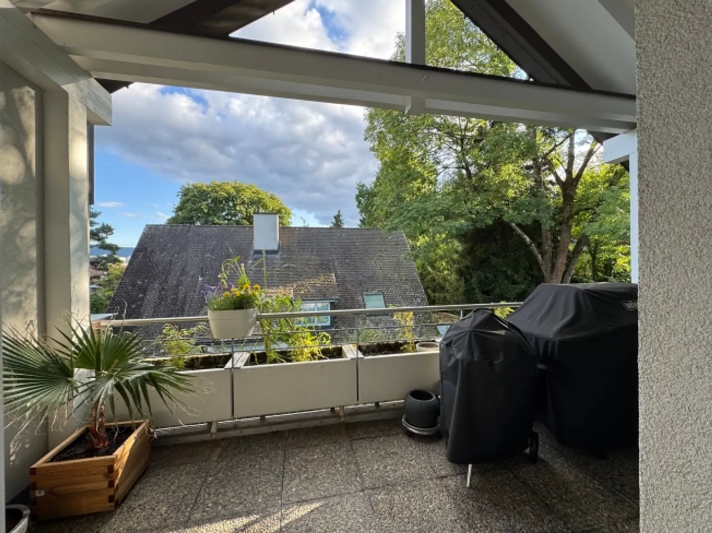 Attico Reinach BL - Foto 3 di 13