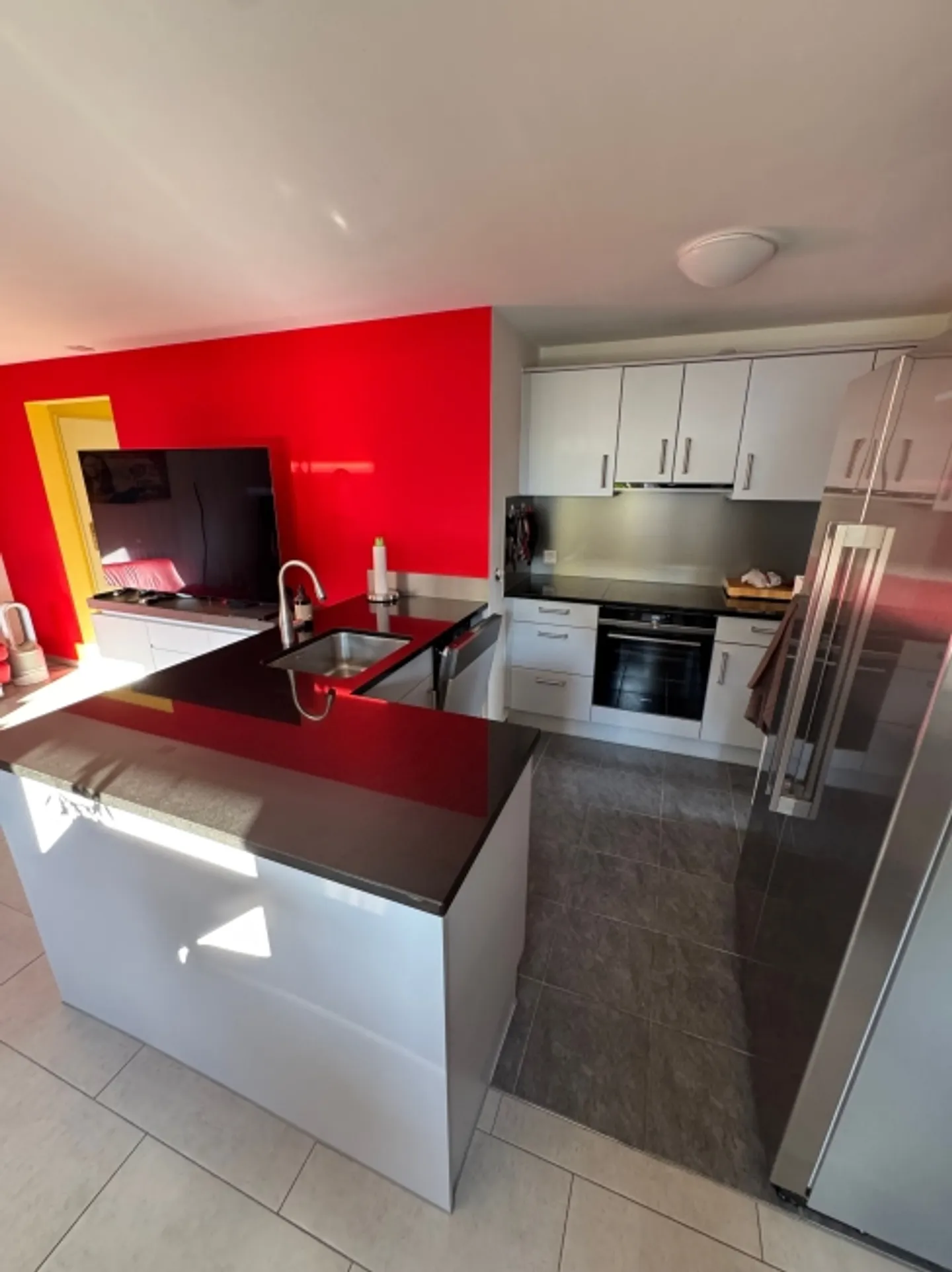 Attico Reinach BL - Foto 7 di 13