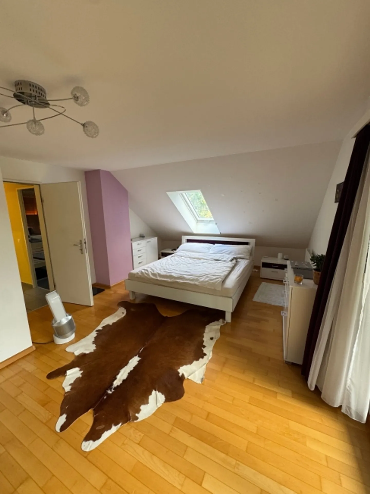 Attico Reinach BL - Foto 9 di 13