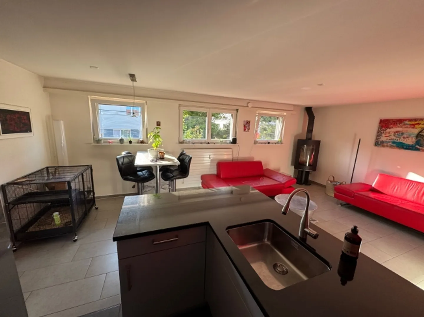 Attico Reinach BL - Foto 5 di 13