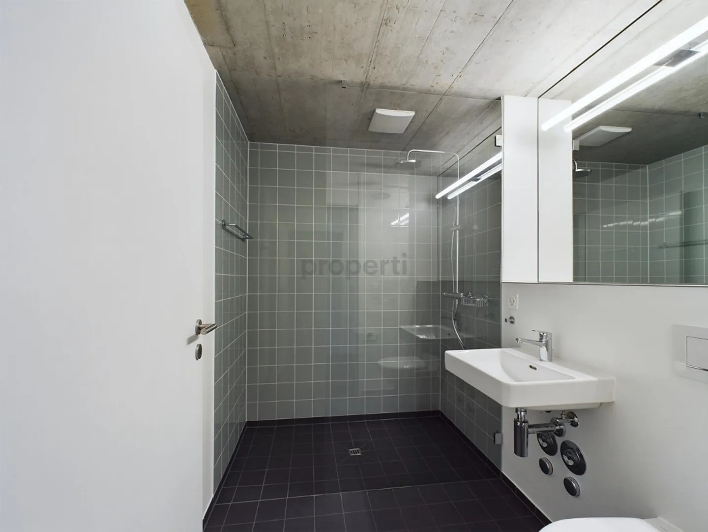 Appartement penthouse luxueux avec 3,5 pièces à Therwil, Canton BL - Photo 7 sur 12