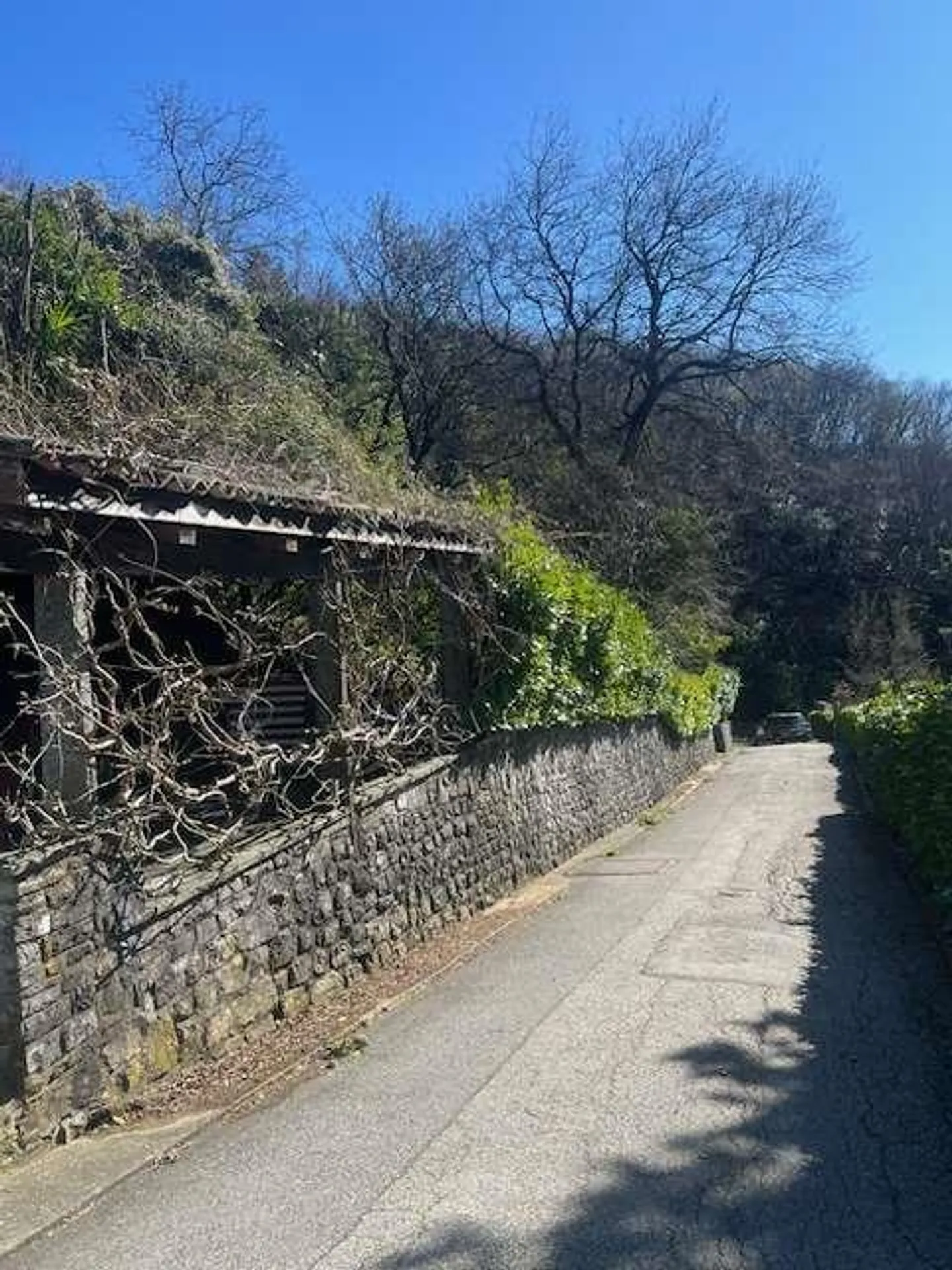Wo der See auf die Alpen trifft. Ihre Private Oase des Friedens - Foto 10 von 10