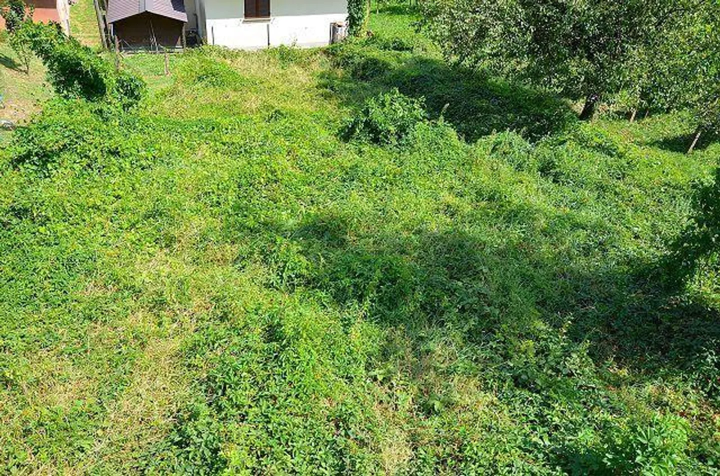 Sonniges Baugrundstück in Gnosca - Foto 4 von 13