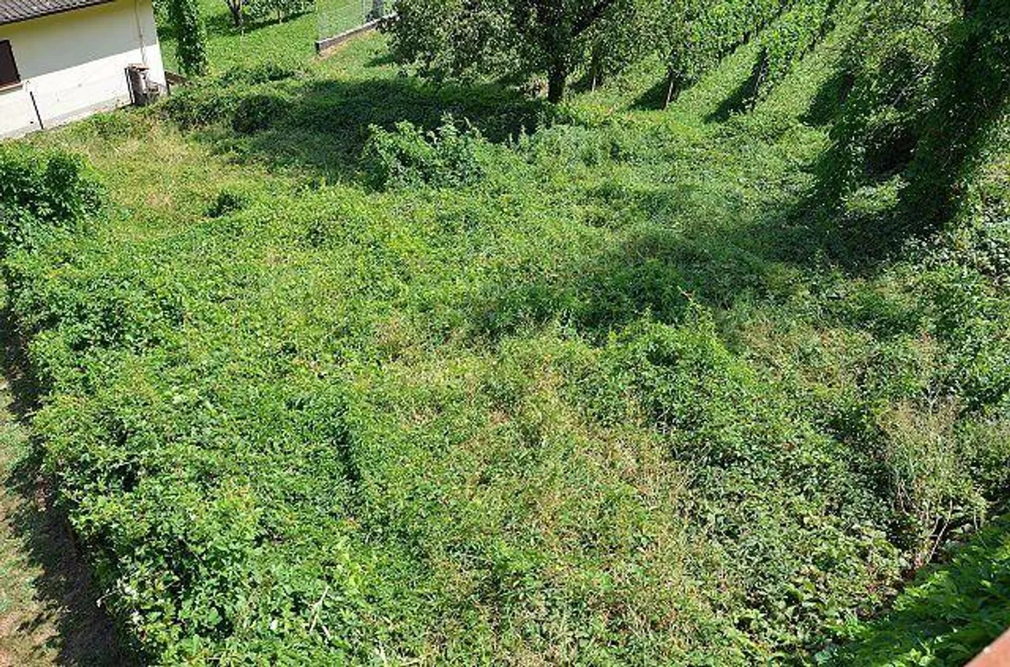 Sonniges Baugrundstück in Gnosca - Foto 5 von 13