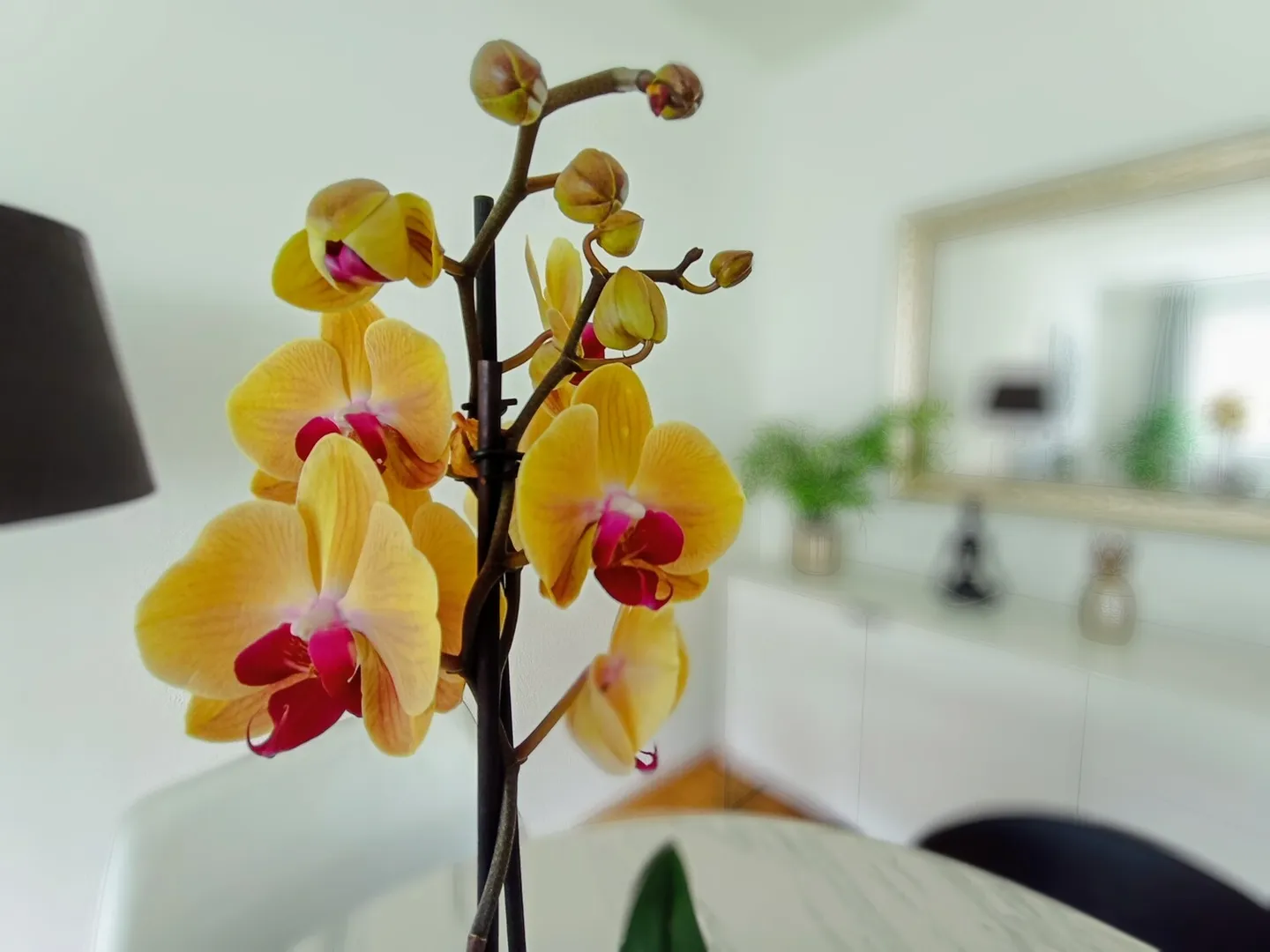 APPARTEMENT 3½ PIÈCES À EBIKON (LU), MEUBLÉ, TEMPORAIRE - Photo 11 sur 11