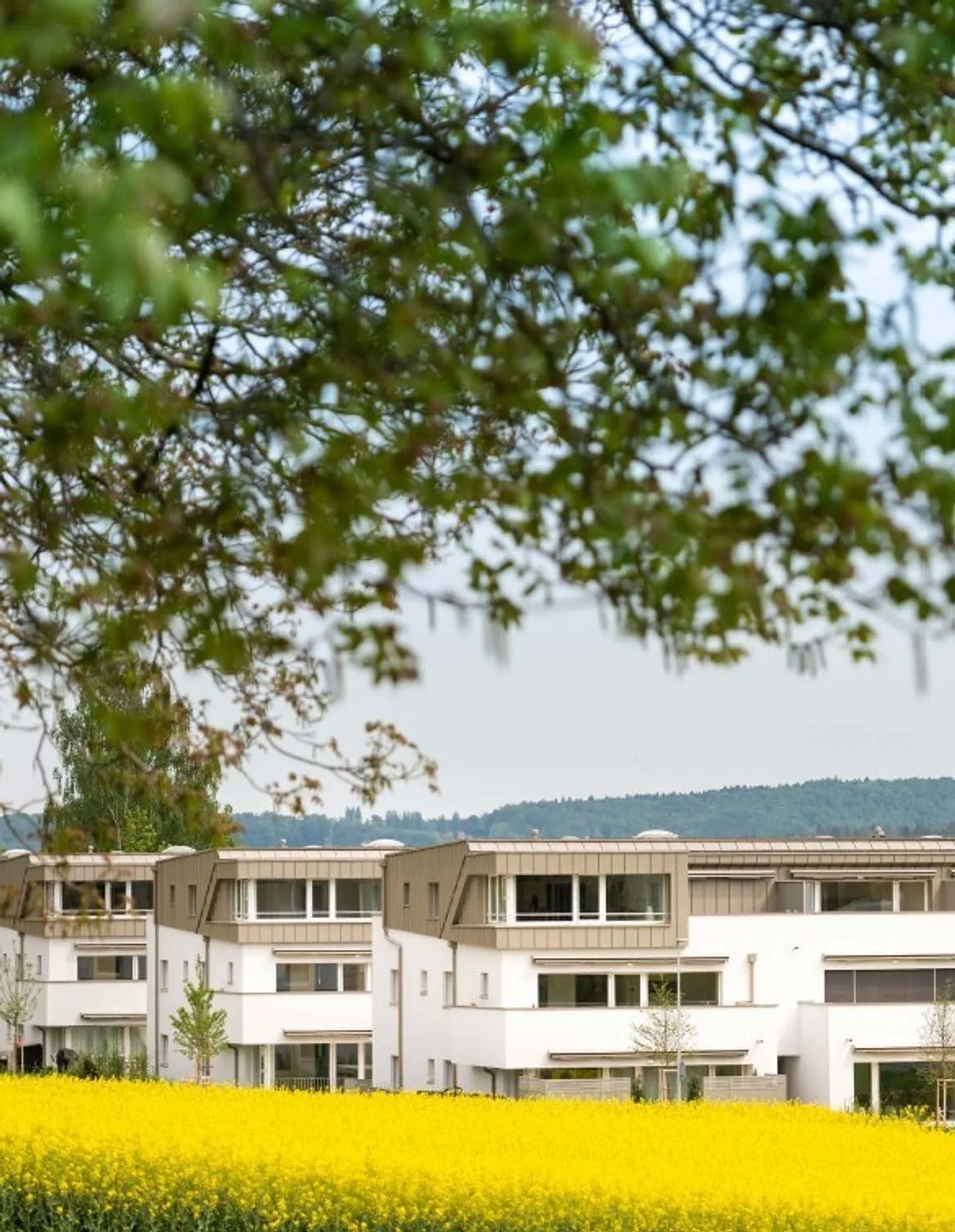 Vielseitiger Gewerberaum - Foto 1 von 3