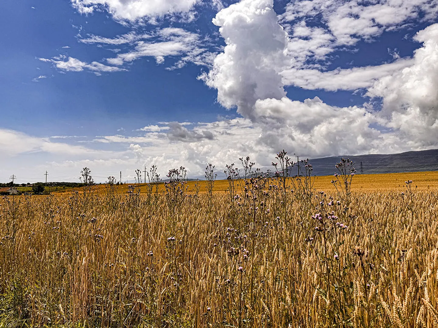 Villa 6.5 Zimmer - Foto 2 von 3